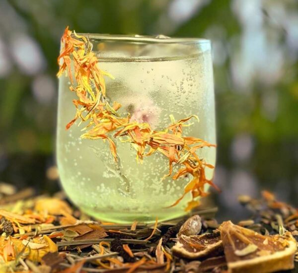 Vaso de cristal con bebida burbujeante de Amanecer en Sibundoy decorada con pétalos de caléndula deshidratada, rodeado de hierbas y cítricos de la mezcla como naranja, mango, romero, pipilongo, caléndula..