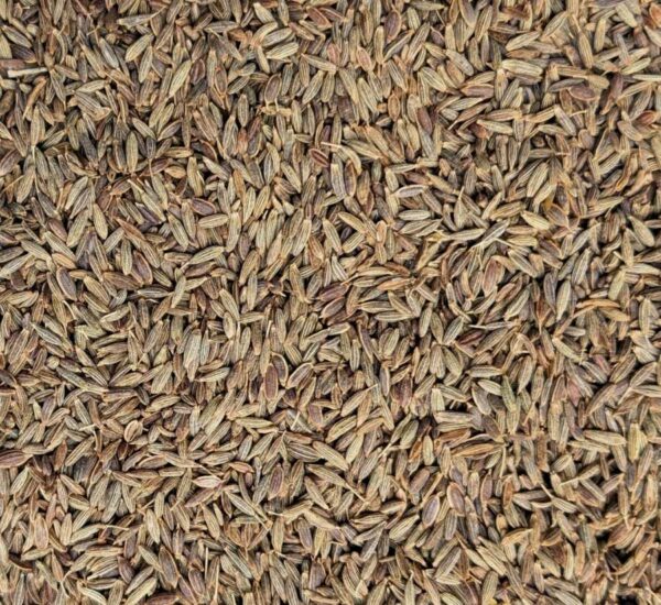 semillas de comino listas para uso culinario