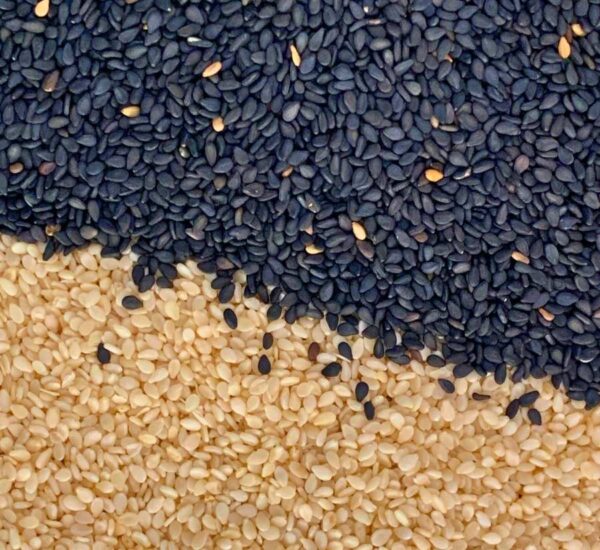 semillas de ajonjolí negro y semillas de ajonjolí blanco natural del caribe colombiano para Tropical Spice