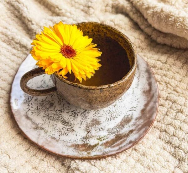 taza de té verde con flor de caléndula