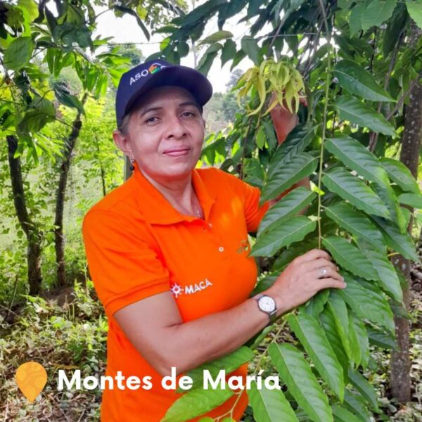 Mujer con camisa naranja y gorra azul sosteniendo una rama con flores de ylang ylang. Texto: "Montes de María".