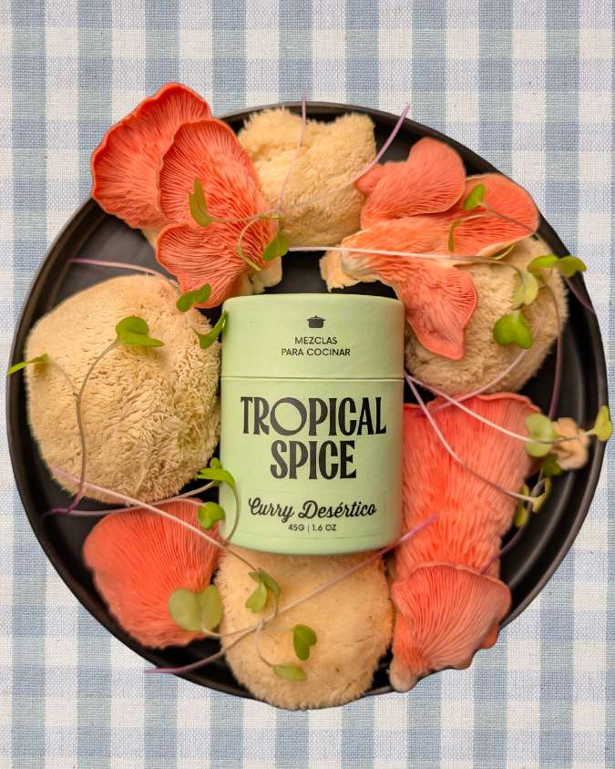 Frasco de mezcla Curry Desértico de Tropical Spice rodeado de hongos melena de león y orellanas rosadas sobre fondo a cuadros azules.
